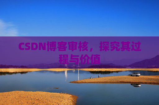 CSDN博客审核,探究其过程与价值